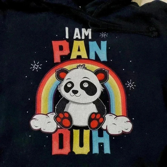 Pansexual Pride Rainbow Panda Hoodie Sweatshirt - L - Picture 2 of 6